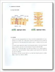 『内臓体壁反射による異常観察と調整テクニック/概論』の韓国語版