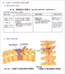 内臓体壁反射による異常観察と調整テクニック/概論