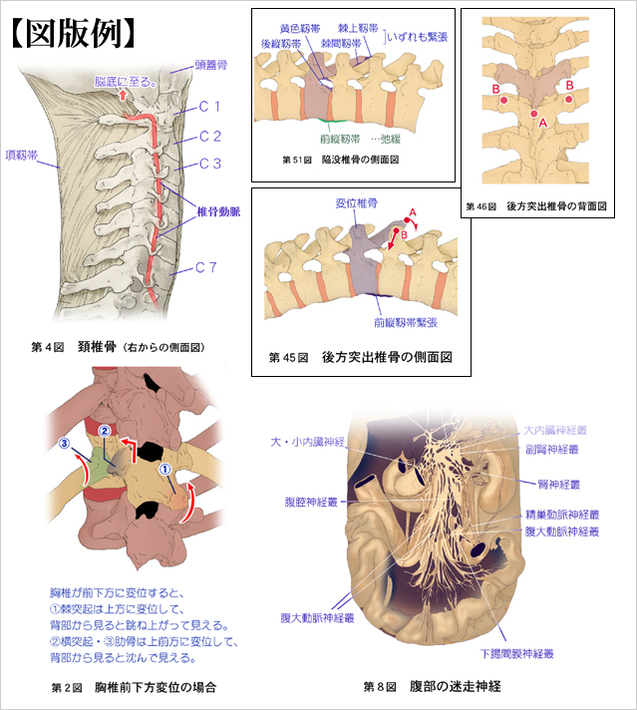 内臓体壁反射による異常観察と調整テクニック/概論